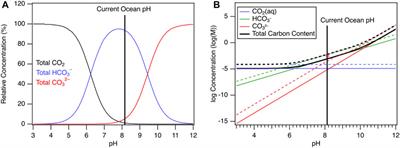 Harvesting, storing, and converting carbon from the ocean to create a new carbon economy: Challenges and opportunities